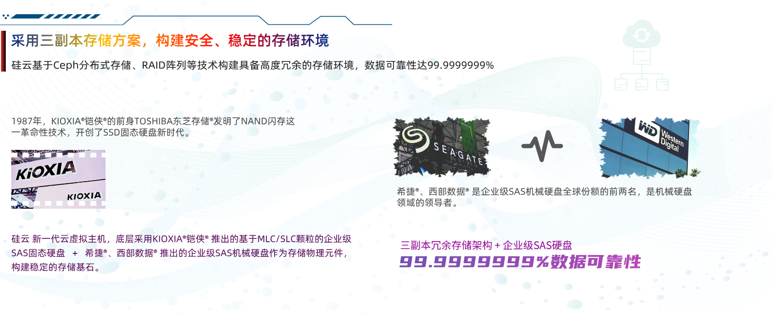虚拟主机磁盘技术 RAID+CEPH